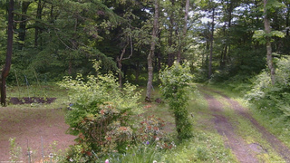 長野県菅平高原 ゆたか山荘 坂上 2026/06/21 09:45