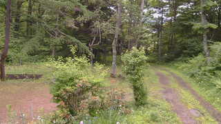 長野県菅平高原 ゆたか山荘 坂上 2026/06/21 11:00