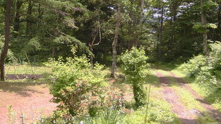 長野県菅平高原 ゆたか山荘 坂上 2026/06/21 11:15