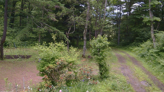 長野県菅平高原 ゆたか山荘 坂上 2026/06/21 11:30