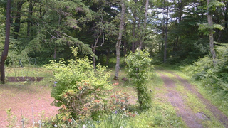 長野県菅平高原 ゆたか山荘 坂上 2026/06/21 11:45