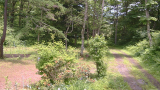 長野県菅平高原 ゆたか山荘 坂上 2026/06/21 12:00