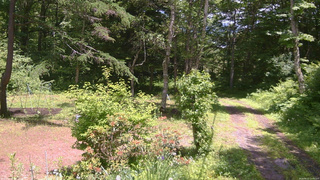長野県菅平高原 ゆたか山荘 坂上 2026/06/21 12:15