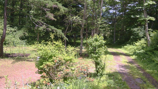 長野県菅平高原 ゆたか山荘 坂上 2026/06/21 12:30