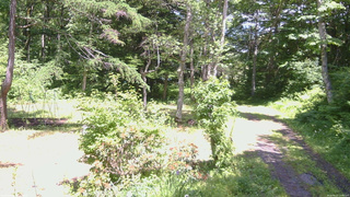 長野県菅平高原 ゆたか山荘 坂上 2026/06/21 13:00