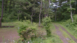 長野県菅平高原 ゆたか山荘 坂上 2026/06/21 13:45