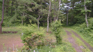 長野県菅平高原 ゆたか山荘 坂上 2026/06/21 14:30