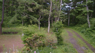長野県菅平高原 ゆたか山荘 坂上 2026/06/21 15:00