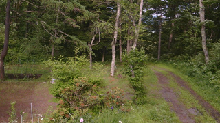 長野県菅平高原 ゆたか山荘 坂上 2026/06/21 16:00
