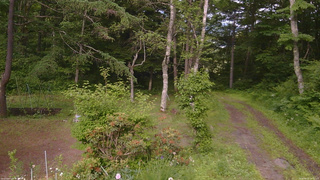 長野県菅平高原 ゆたか山荘 坂上 2026/06/21 16:15