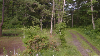 長野県菅平高原 ゆたか山荘 坂上 2026/06/21 16:30