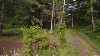 長野県菅平高原 ゆたか山荘 坂上 2026/06/21 16:45