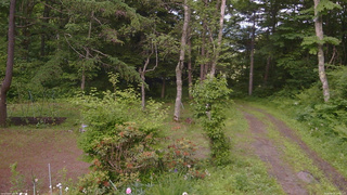 長野県菅平高原 ゆたか山荘 坂上 2026/06/21 17:00