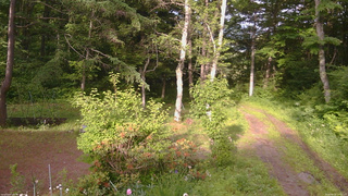 長野県菅平高原 ゆたか山荘 坂上 2026/06/21 17:15