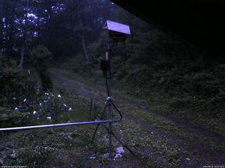 長野県菅平高原 ゆたか山荘 南側 2026/06/22 19:15