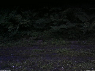長野県菅平高原 ゆたか山荘 東側(坂下) 2026/06/22 19:15