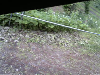 長野県菅平高原 ゆたか山荘 駐車場 2026/06/22 05:45