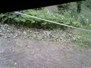 長野県菅平高原 ゆたか山荘 駐車場 2026/06/22 11:15