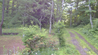 長野県菅平高原 ゆたか山荘 坂上 2026/06/22 05:15