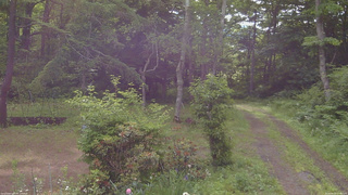 長野県菅平高原 ゆたか山荘 坂上 2026/06/22 07:45