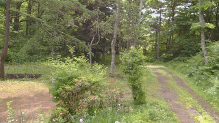 長野県菅平高原 ゆたか山荘 坂上 2026/06/22 08:15