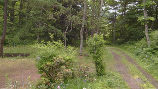 長野県菅平高原 ゆたか山荘 坂上 2026/06/22 08:30