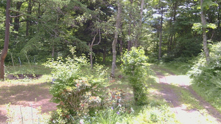 長野県菅平高原 ゆたか山荘 坂上 2026/06/22 09:30