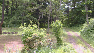 長野県菅平高原 ゆたか山荘 坂上 2026/06/22 09:45