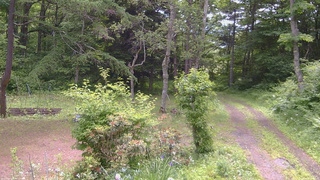 長野県菅平高原 ゆたか山荘 坂上 2026/06/22 10:00
