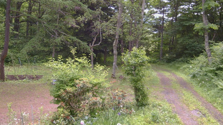 長野県菅平高原 ゆたか山荘 坂上 2026/06/22 10:45