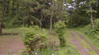 長野県菅平高原 ゆたか山荘 坂上 2026/06/22 11:45