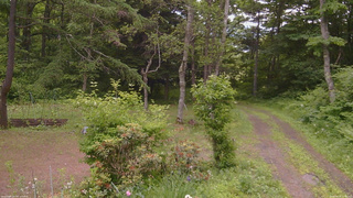 長野県菅平高原 ゆたか山荘 坂上 2026/06/22 12:00
