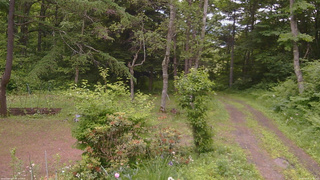 長野県菅平高原 ゆたか山荘 坂上 2026/06/22 12:30