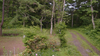長野県菅平高原 ゆたか山荘 坂上 2026/06/22 14:45