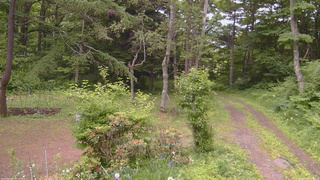 長野県菅平高原 ゆたか山荘 坂上 2026/06/22 15:00