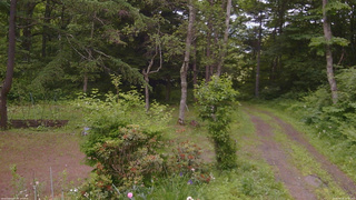 長野県菅平高原 ゆたか山荘 坂上 2026/06/22 16:00