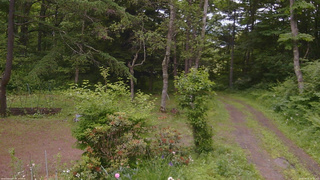 長野県菅平高原 ゆたか山荘 坂上 2026/06/22 16:15