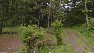 長野県菅平高原 ゆたか山荘 坂上 2026/06/22 16:45