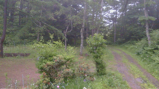 長野県菅平高原 ゆたか山荘 坂上 2026/06/22 18:45