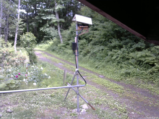 長野県菅平高原 ゆたか山荘 南側 2026/06/23 13:30