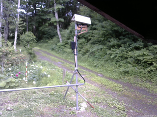 長野県菅平高原 ゆたか山荘 南側 2026/06/23 16:00