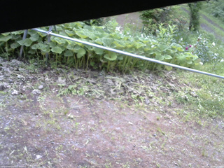 長野県菅平高原 ゆたか山荘 駐車場 2026/06/23 06:15