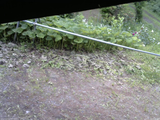 長野県菅平高原 ゆたか山荘 駐車場 2026/06/23 07:00