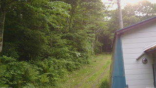 長野県菅平高原 ゆたか山荘 ゆたか山荘 2026/06/23 17:00