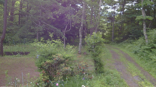 長野県菅平高原 ゆたか山荘 坂上 2026/06/23 07:00