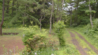 長野県菅平高原 ゆたか山荘 坂上 2026/06/23 08:15