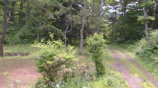 長野県菅平高原 ゆたか山荘 坂上 2026/06/23 09:45