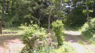 長野県菅平高原 ゆたか山荘 坂上 2026/06/23 10:00