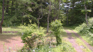 長野県菅平高原 ゆたか山荘 坂上 2026/06/23 10:45