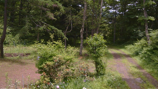長野県菅平高原 ゆたか山荘 坂上 2026/06/23 11:45